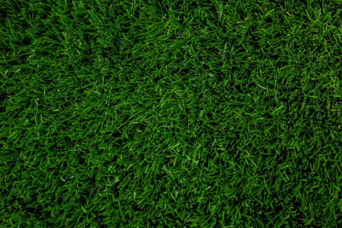 Will Pool Water Kill Grass