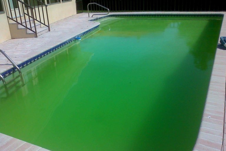 green pool water treatment - green water