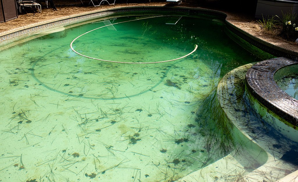 green pool water treatment. 